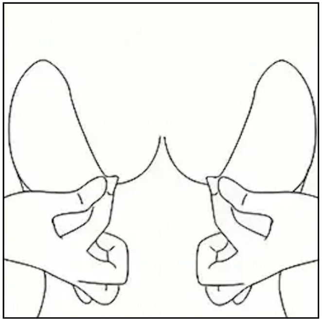 Squeeze Together